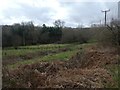 The flood plain of the Holy Brook