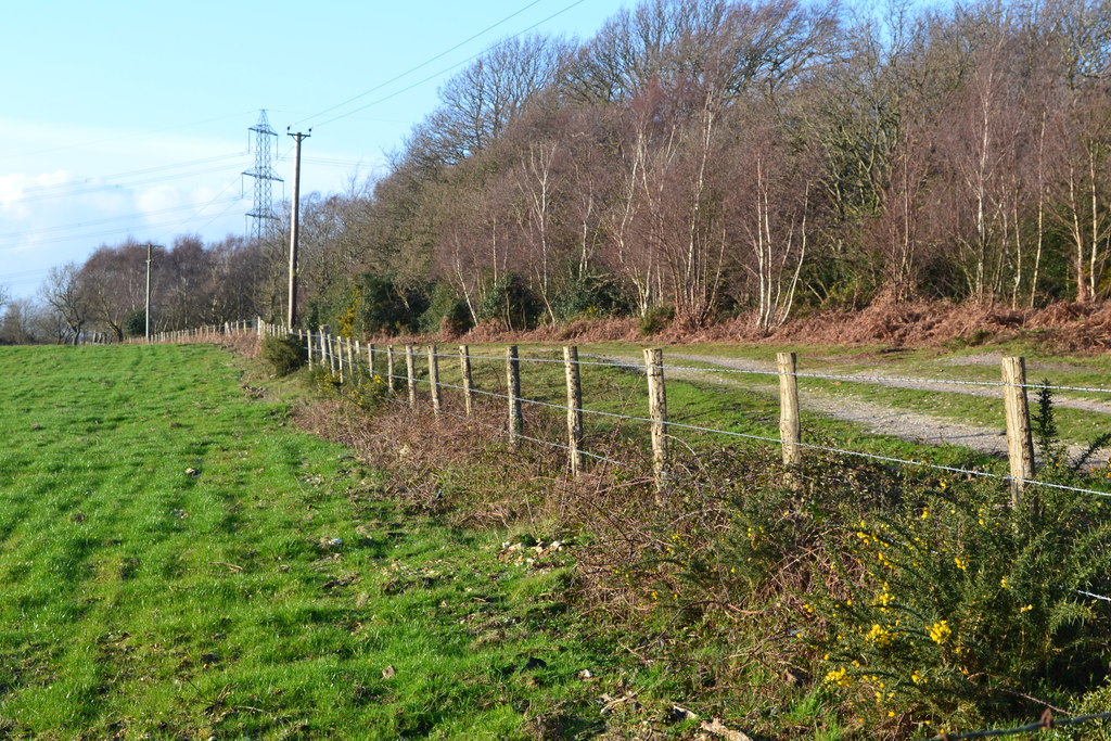 Field edge at Fields Heath © David Martin ccbysa/2.0 Geograph