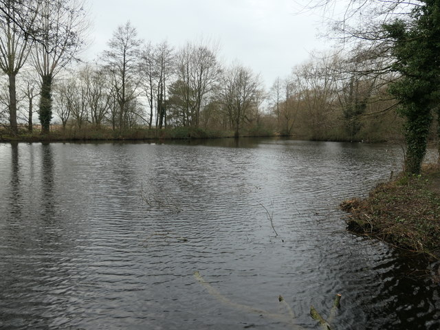 inground pool near wetlands