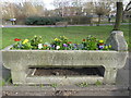 Former horse drinking trough at Barnes Pond