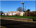 Telecoms mast in Caldicot