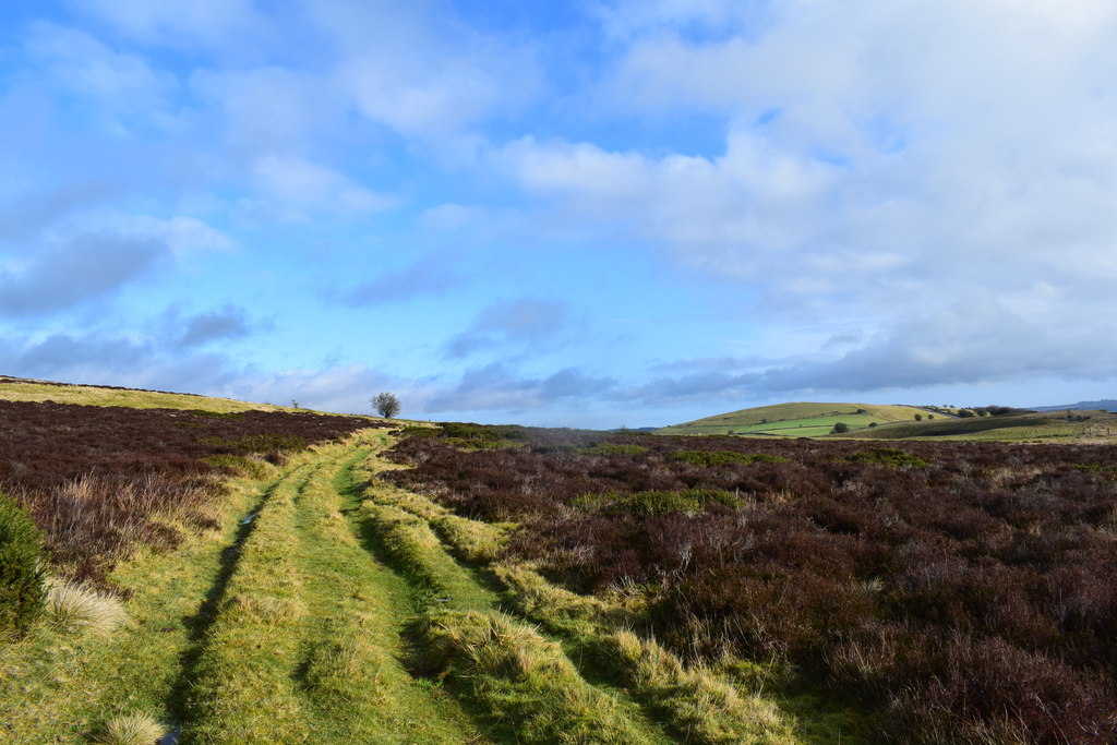 Path on Longstone moor © steven ruffles cc-by-sa/2.0 :: Geograph ...