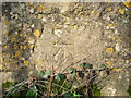 Benchmark on the wall near Churchill Green