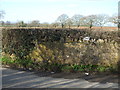 A roadside wall protecting a stream