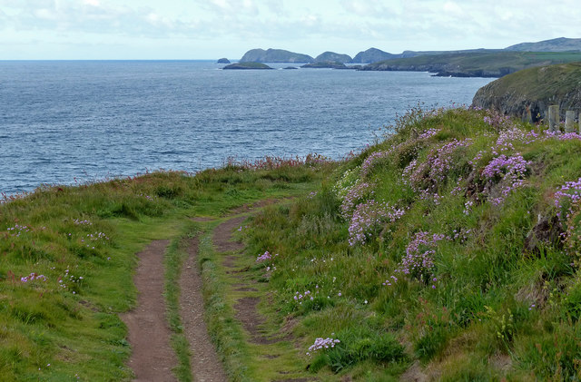 Pembrokeshire Coast Path at Caerfai Bay