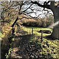 TQ2115 : Henfield, Sussex - footpath along the bottom of Spring Hill by Ian Cunliffe