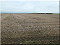 Stubble field at Bailie Knowe