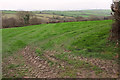 Field, Lane End