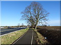 Cycle path beside the A64, Steeton