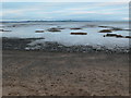 NX9860 : Inter-tidal islets, Carse Bay by Christine Johnstone