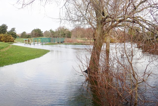 Flooded path in Islands Park, Newcastle