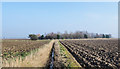 Ditch between two ploughed fields