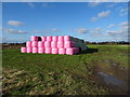 SE5447 : Silage bales, Buttacre Field by JThomas