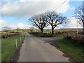 Heol ger Trawsdre-ganol / Road near Trawsdre-ganol