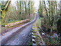 Pont ger Dygoed / Bridge near Dygoed