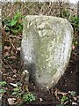 Old Milestone by the A38, east of Bodmin