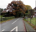 Autumn colours, Hazler Road, Church Stretton 