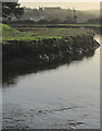 River Camel above Wadebridge