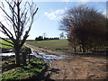 Muddy entrance to Shiptondale Farm