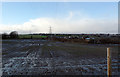 Muddy field seen from School Lane, Hartshead