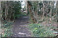Path in Arrandene open space, Mill Hill