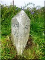 Old Milestone by the B3297, north of Four Lanes