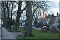 Trees by Ballards Lane, North Finchley