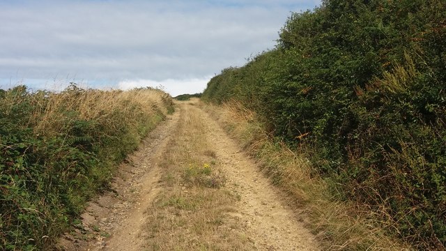 Path heading to Blaen-llyn © Shaun Ferguson cc-by-sa/2.0 :: Geograph ...