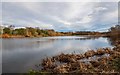 Lakes on Craggie Farm