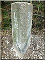 SX1964 : Old Milestone by the A38, west of Doublebois by Rosy Hanns