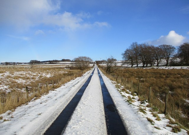 Tracks in the snow near Gainerhill