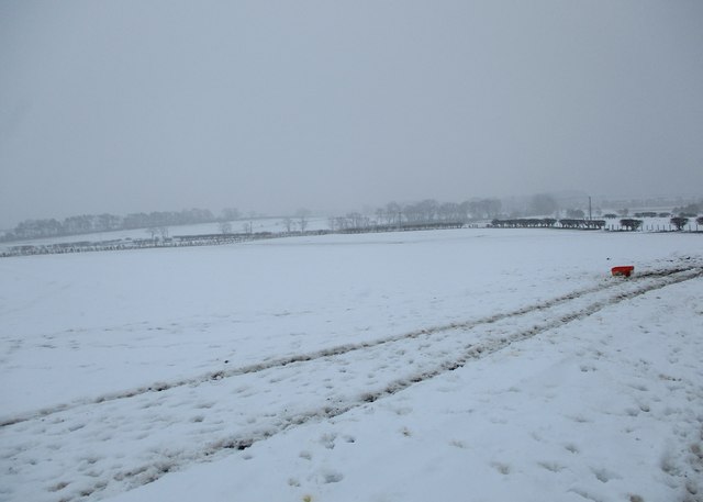 Snowy field near Whiteshawgate, Strathaven