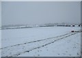 Snowy field near Whiteshawgate, Strathaven