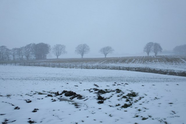 Snowy farmland at Whitecraigs, by Glassford