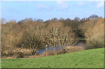 TQ2967 : One Island Pond, Mitcham Common by Des Blenkinsopp