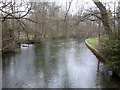 River Anton, Goodworth Clatford