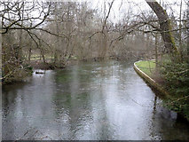 SU3642 : River Anton, Goodworth Clatford by Robin Webster