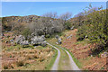 Upland track at Gellfawr