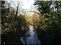 Newton Brook from Town End Bridge