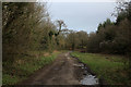 ST8713 : Wessex Ridgeway in Preston Wood by Chris Heaton