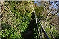 Saxon Shore Way towards Hotel Road