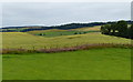 Farmland at Wester Aberdour