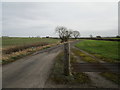 Cattle grid at the entrance to Station Farm