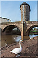 SO5012 : Monnow Bridge by Ian Capper