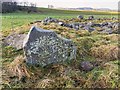 Pictish Symbol Stone - Congash