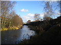 Walsall Canal, Darlaston Green (4)