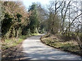 Lane to Chute Forest and Chute Lodge