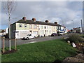 Albany Street houses, Newport