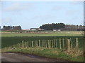 Barebreeks Wood on Harelaw near Greenlaw in the Scottish Borders