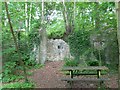 Ruins in Llanina Woods